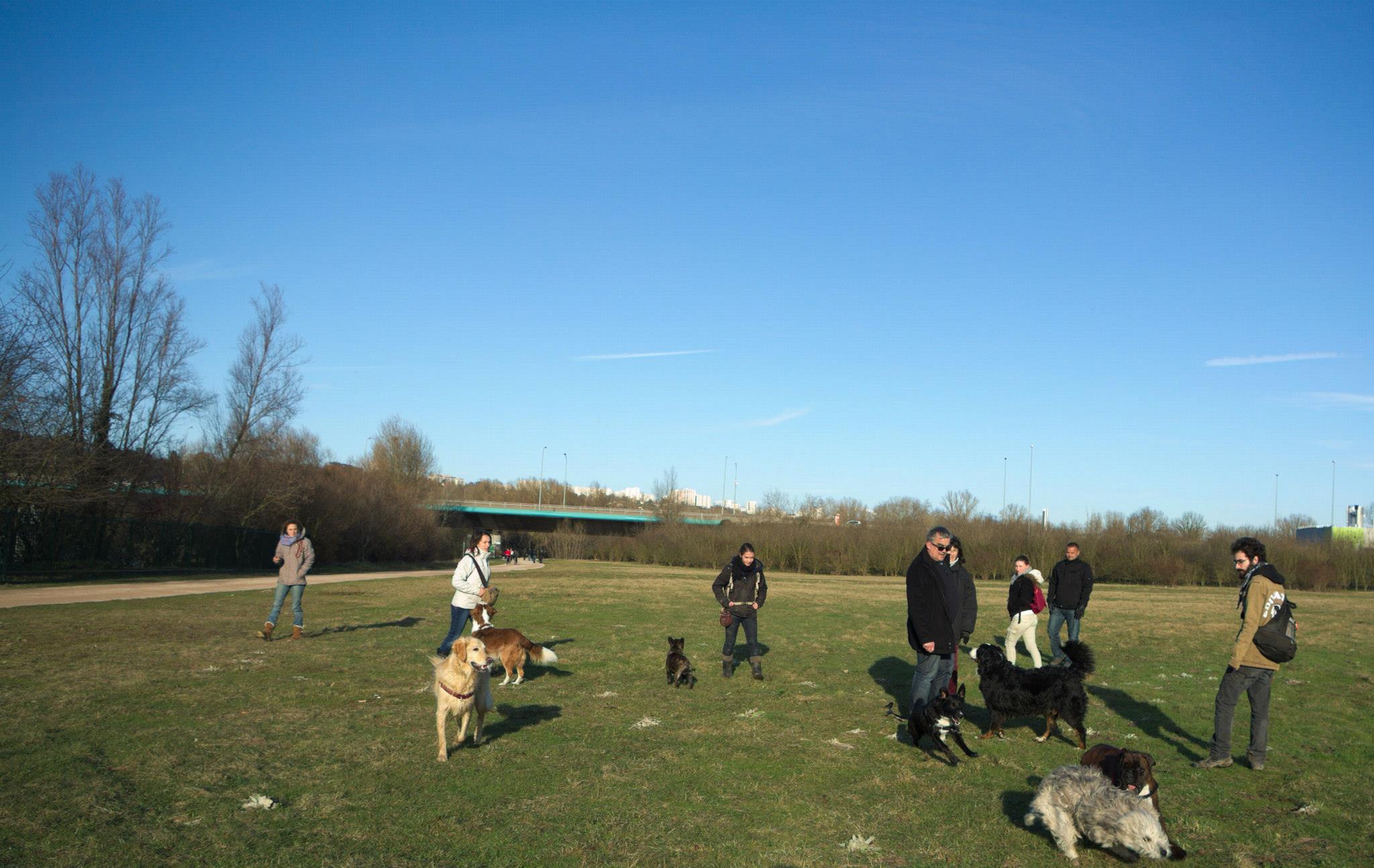éducation et dressage de chiens Savoie